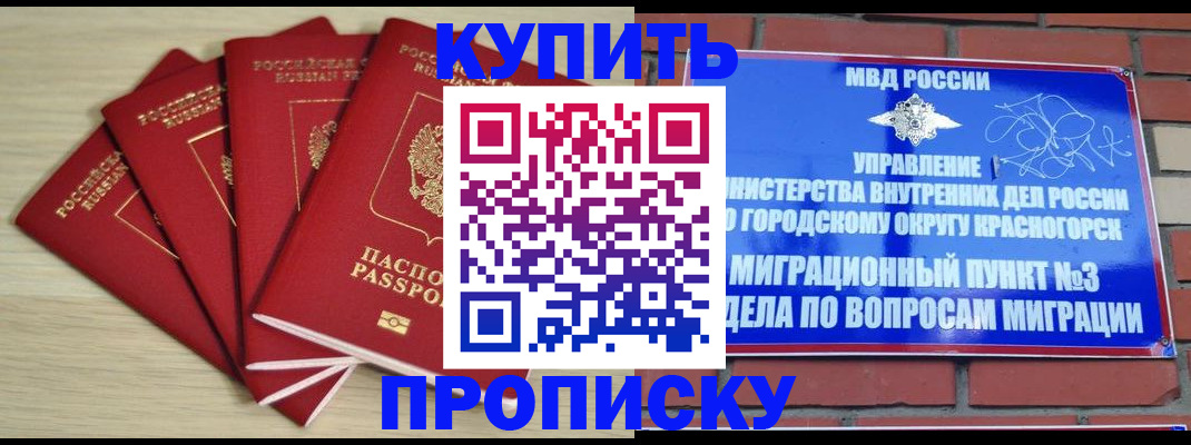 временная регистрация для всех в Сланцах